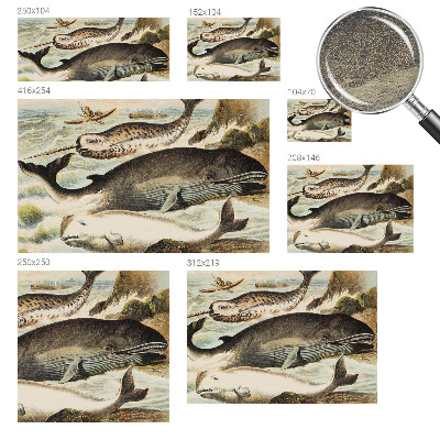 Fotostat Havgiganter