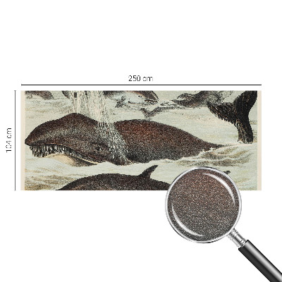 Fotovæg med motiv af havdyr