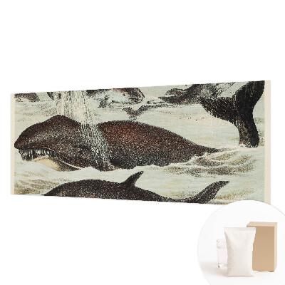 Fotovæg med motiv af havdyr