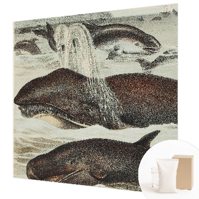 Fotovæg med motiv af havdyr