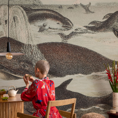 Fotovæg med motiv af havdyr