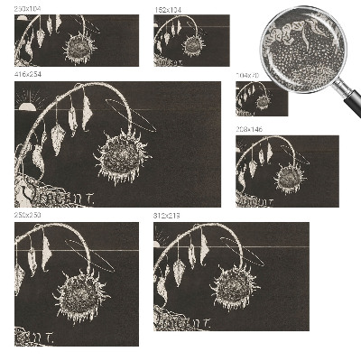 Tapet væg Nostalgisk solsikke