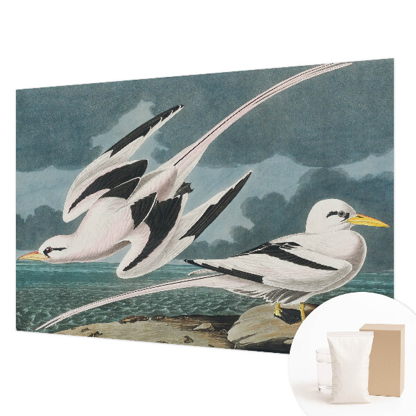 Non-woven fototapet Fugle ved havet