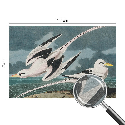 Non-woven fototapet Fugle ved havet