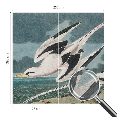 Non-woven fototapet med motiv af fugle ved havet