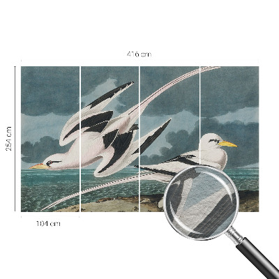 Non-woven fototapet med motiv af fugle ved havet