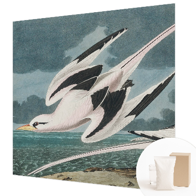 Non-woven fototapet Fugle ved havet