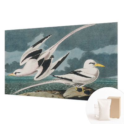 Non-woven fototapet Fugle ved havet