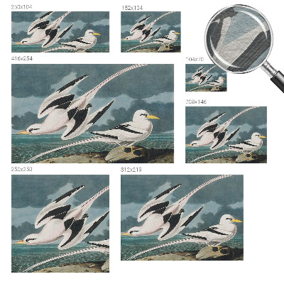 Non-woven fototapet med motiv af fugle ved havet