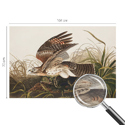 Fotostat Vinget skønhed