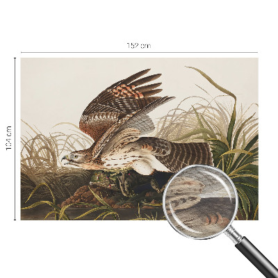 Fotostat Vinget skønhed