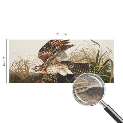 Fotostat Vinget skønhed