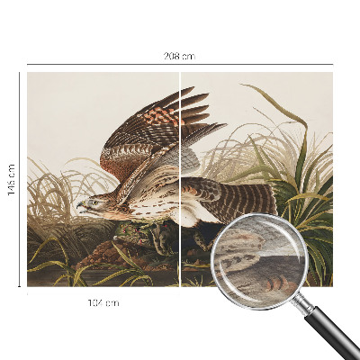 Fotostat Vinget skønhed