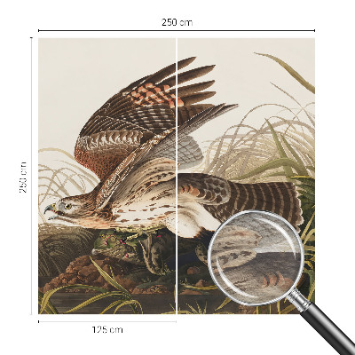 Fotostat Vinget skønhed