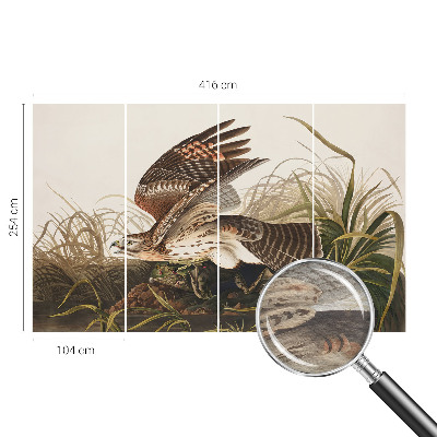 Fotostat Vinget skønhed