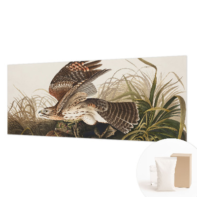 Fotostat Vinget skønhed