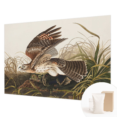 Fotostat Vinget skønhed