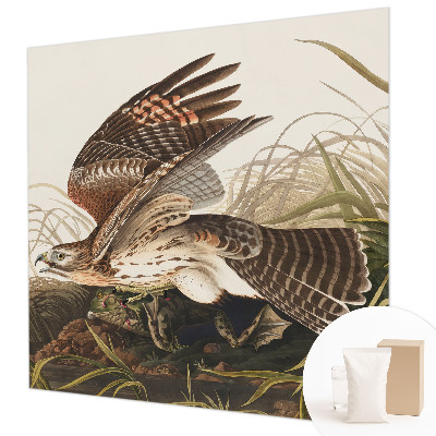 Fotostat Vinget skønhed