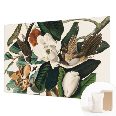 Fotovæg med motiv af fugle og magnolier