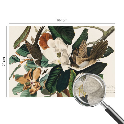Fotovæg med motiv af fugle og magnolier