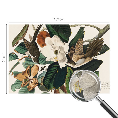 Fotovæg med motiv af fugle og magnolier