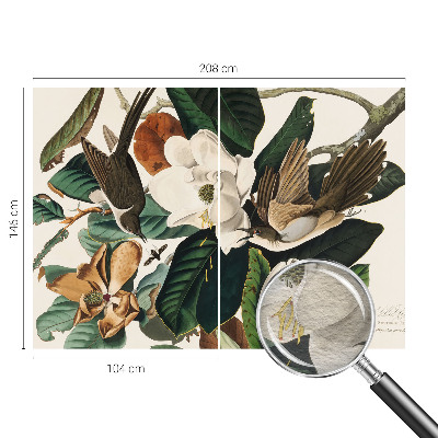 Fotovæg Fugle magnolier