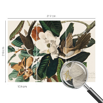 Fotovæg Fugle magnolier