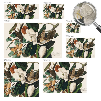 Fotovæg Fugle magnolier
