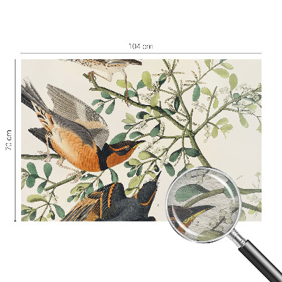 Væg tapet Farverige fugle