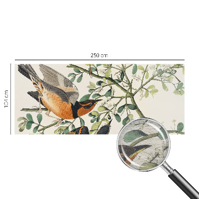 Væg tapet Farverige fugle