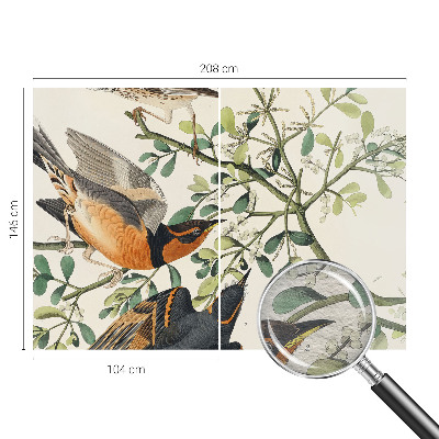 Væg tapet Farverige fugle