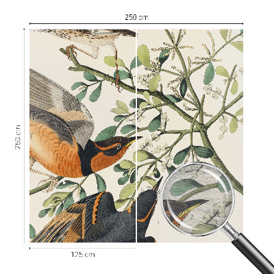 Væg tapet Farverige fugle