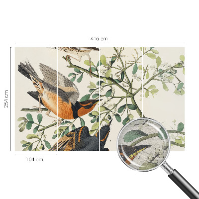 Væg tapet Farverige fugle