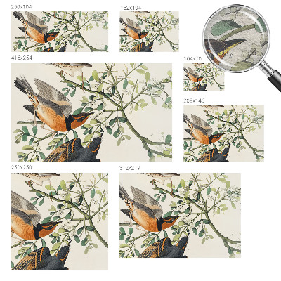 Væg tapet Farverige fugle