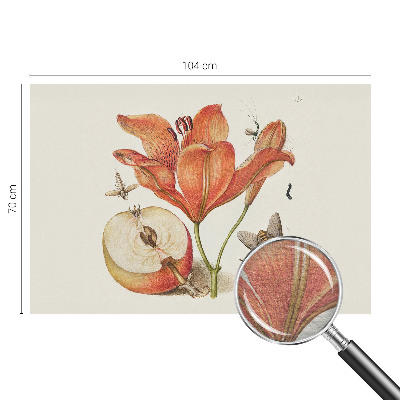 Fotovæg soveværelse med botanisk illustration