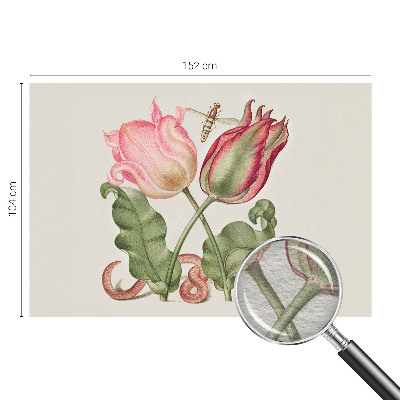 Fototapet til børn Tulipan skønhed