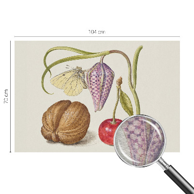 Fototapet efter mål med motiv af sommerfugleplante