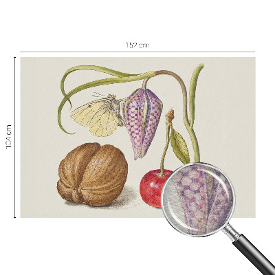 Fototapet efter mål med motiv af sommerfugleplante