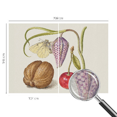 Fototapet efter mål med motiv af sommerfugleplante