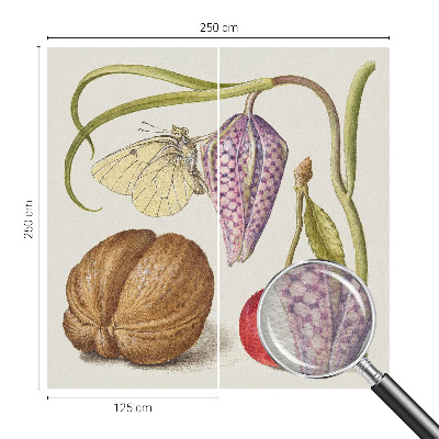 Fototapet efter mål Sommerfugleplante