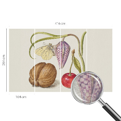 Fototapet efter mål Sommerfugleplante