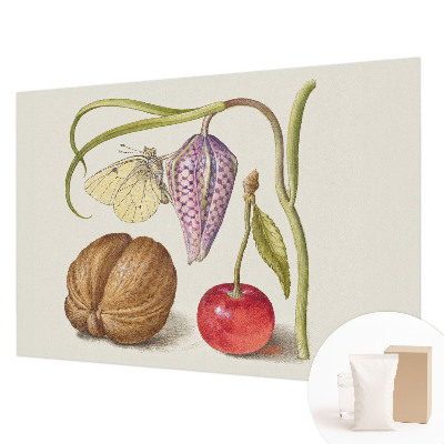 Fototapet efter mål med motiv af sommerfugleplante