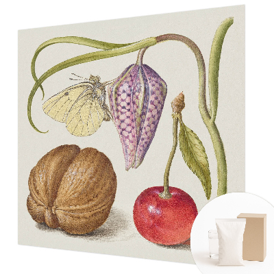 Fototapet efter mål Sommerfugleplante