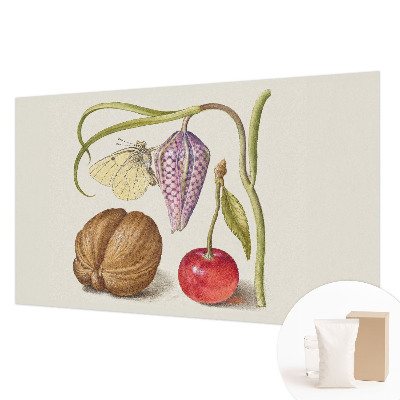 Fototapet efter mål Sommerfugleplante