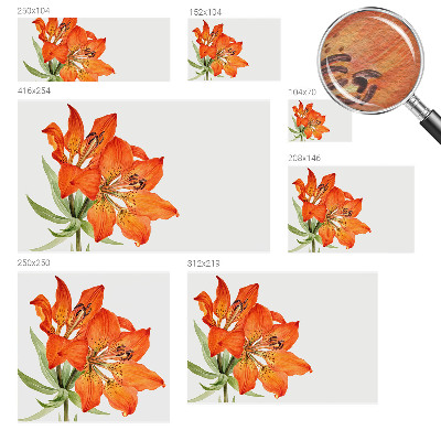 Fototapet på mål med motiv af en orange lilje