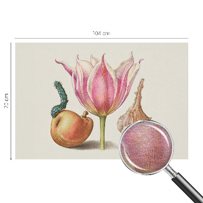 Modern fototapet Naturlig symbiose