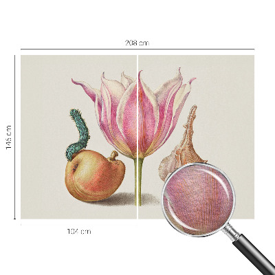 Modern fototapet Naturlig symbiose