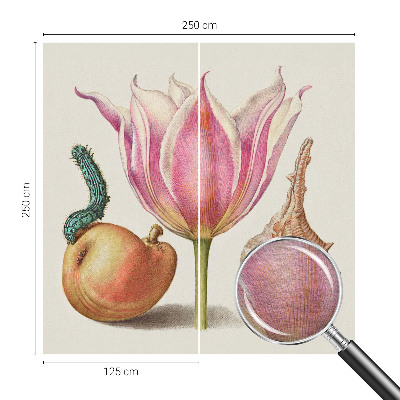 Modern fototapet i et naturligt symbiosemotiv