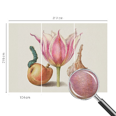 Modern fototapet Naturlig symbiose