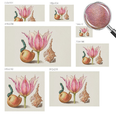 Modern fototapet Naturlig symbiose